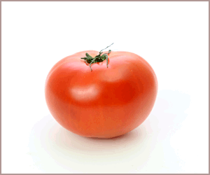 トマトやナスのオイル漬けもおすすめ